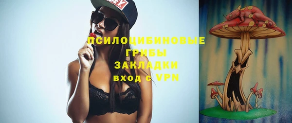 дмт Козельск