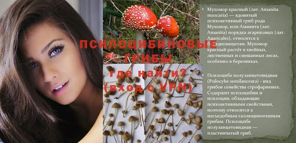 дмт Козельск