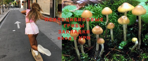 мяу мяу мука Кодинск