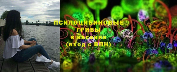 mdpv Козловка