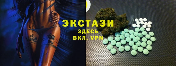 дмт Козельск