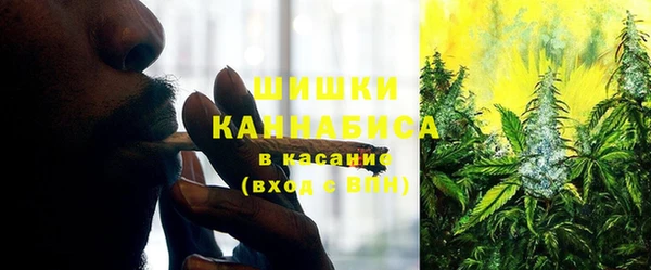 дмт Козельск