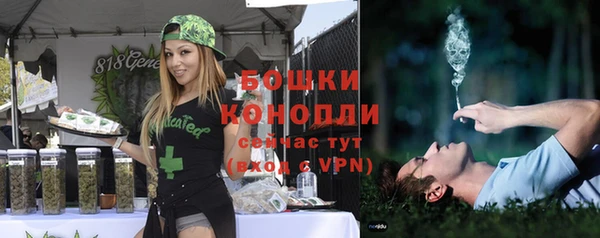 мяу мяу мука Кодинск